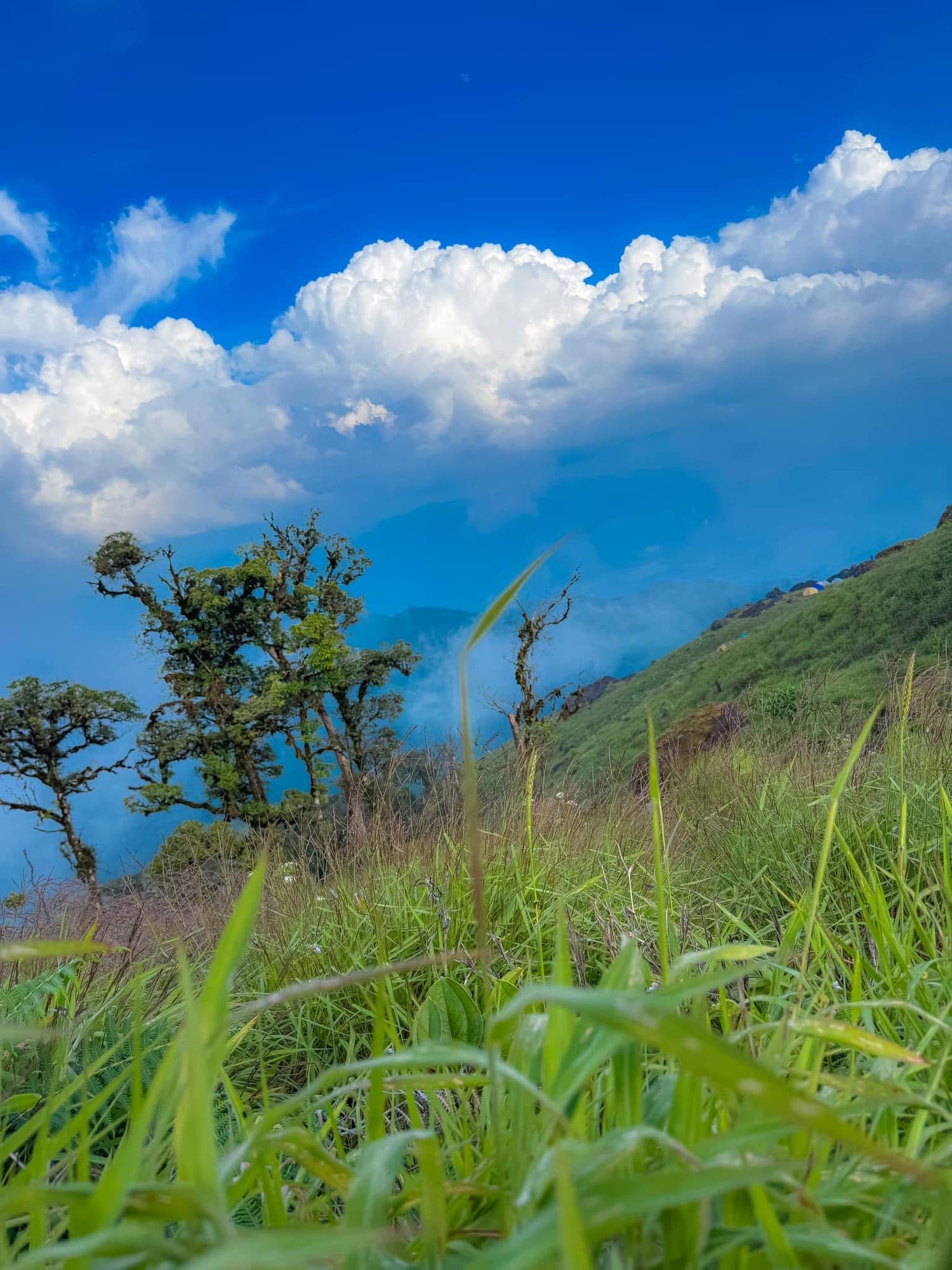 อุทยานแห่งชาติภูกระดึง รูปที่ 2