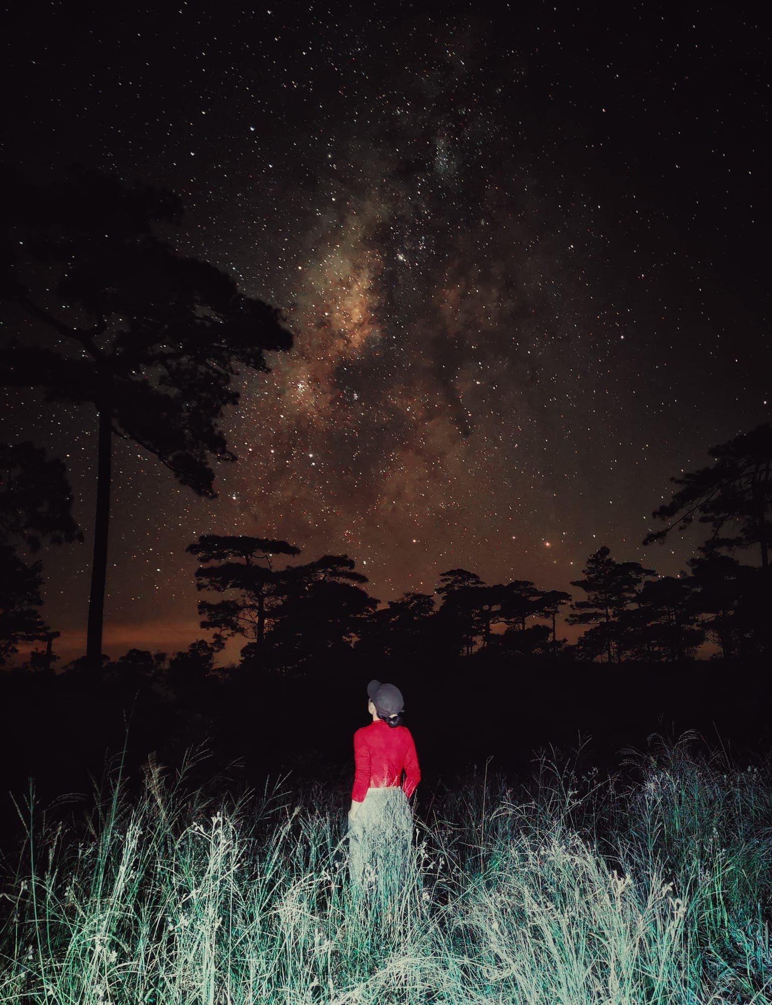 ภูสอยดาว รูปที่ 2