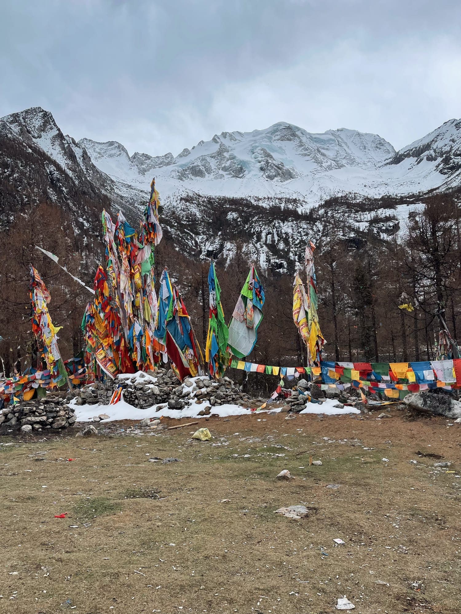 Yala snow mountain (雅拉雪山) รูปที่ 4