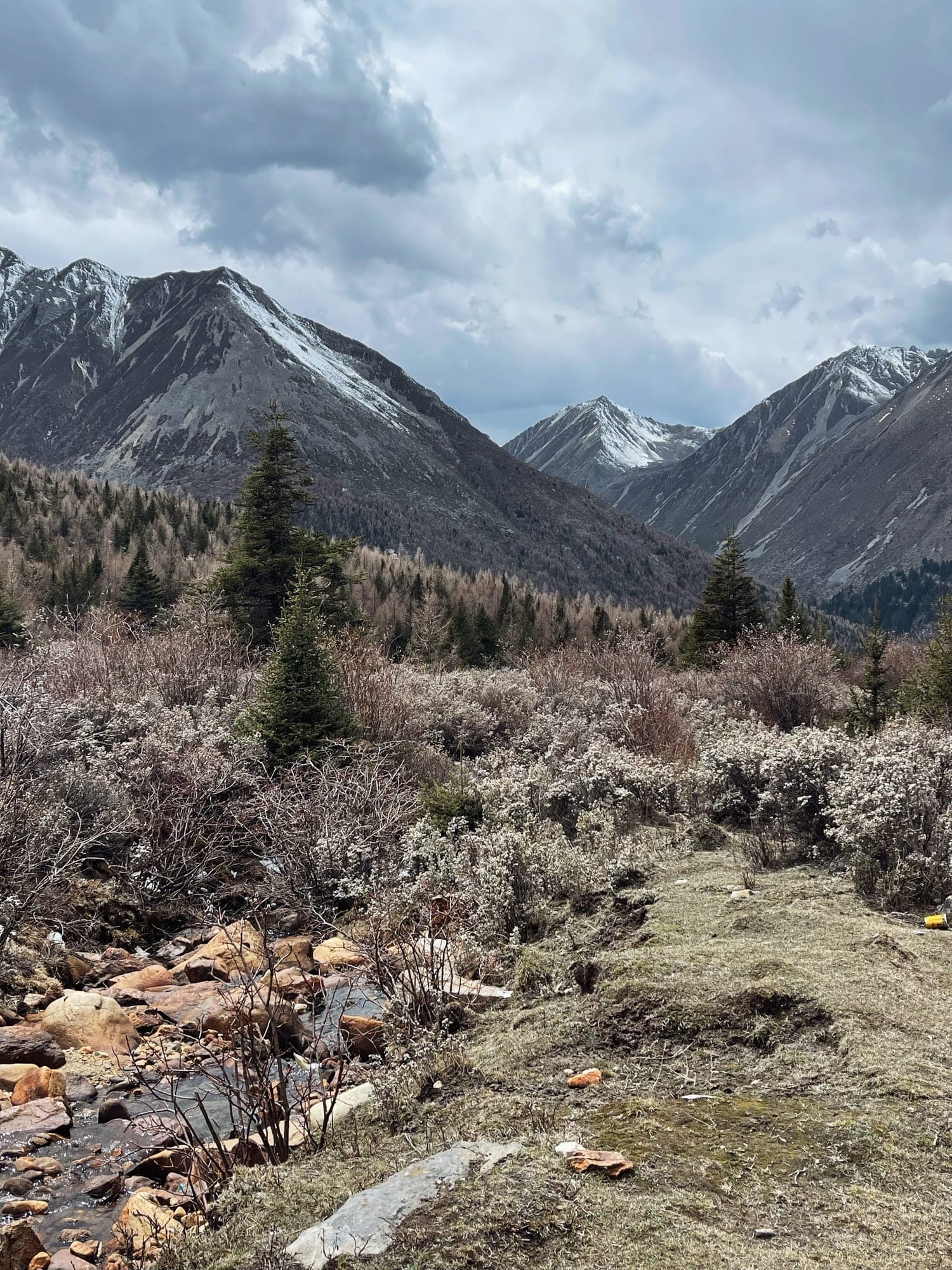 Yala snow mountain (雅拉雪山) รูปที่ 8