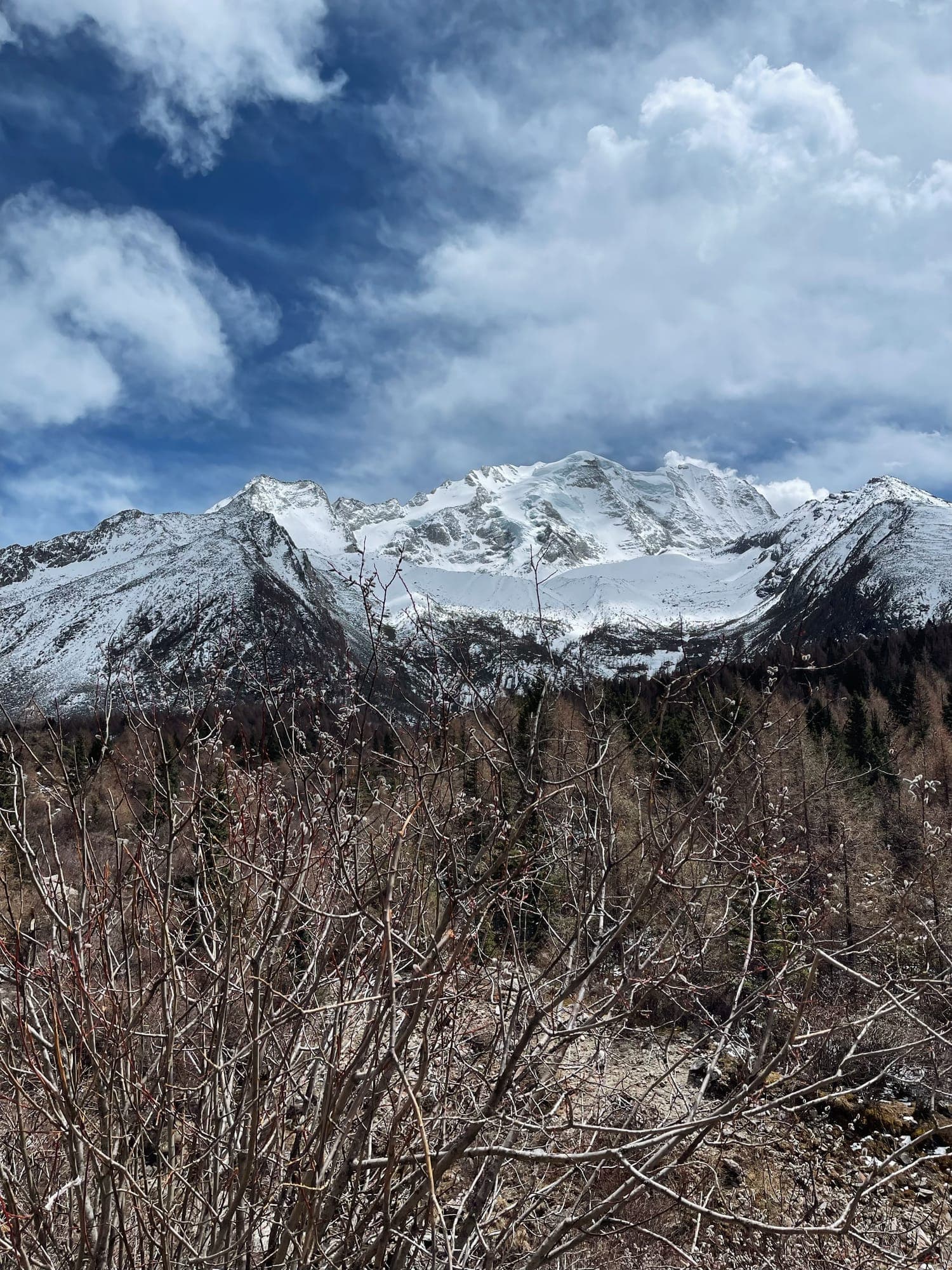 Yala snow mountain (雅拉雪山) รูปที่ 5