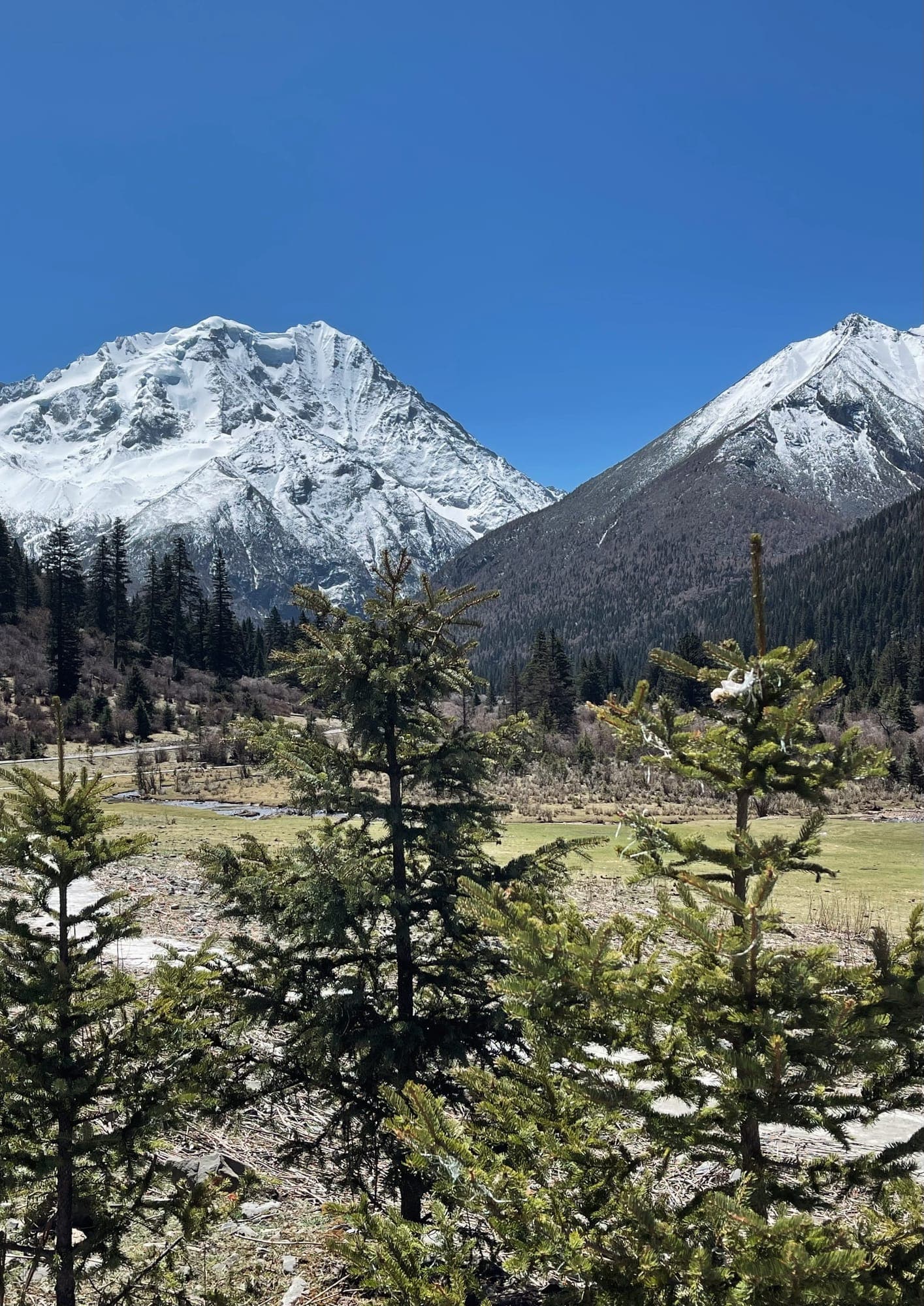 Yala snow mountain (雅拉雪山) รูปที่ 10