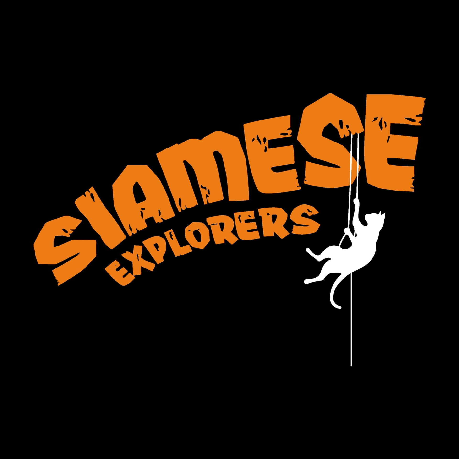 แมวไทยท่องโลกเดินป่าโรยตัว - Siamese Explorers