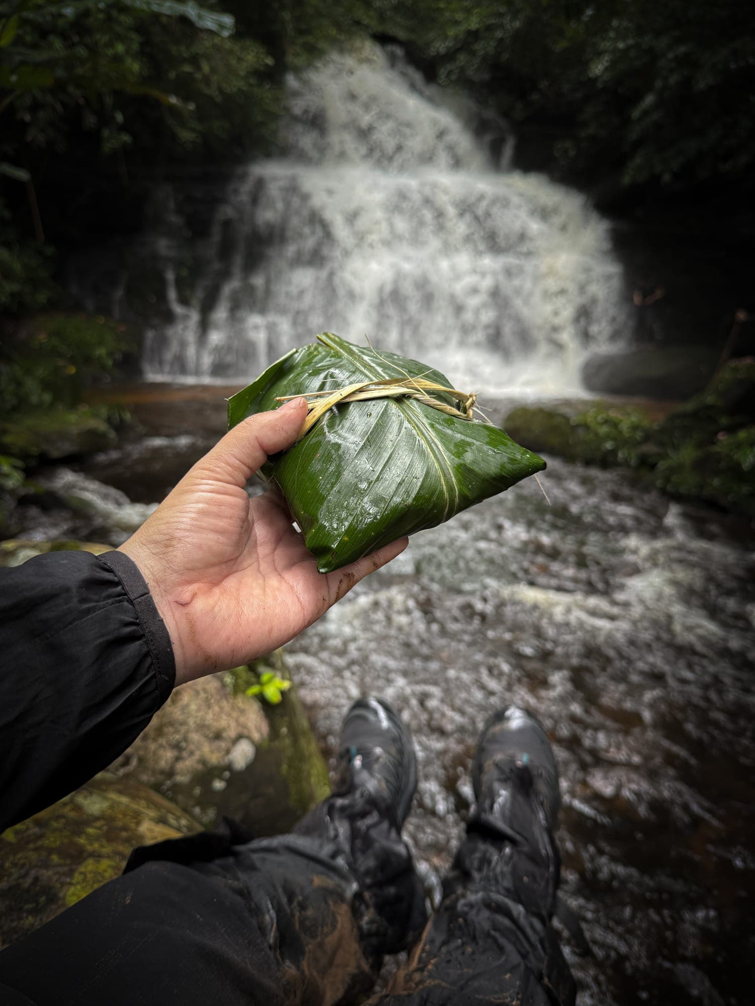 ภาพประกอบรีวิว ทริปน้ำตกหมันแดง 1 วัน | ป่าฉ่ำ Lush Forest รูปที่ 1