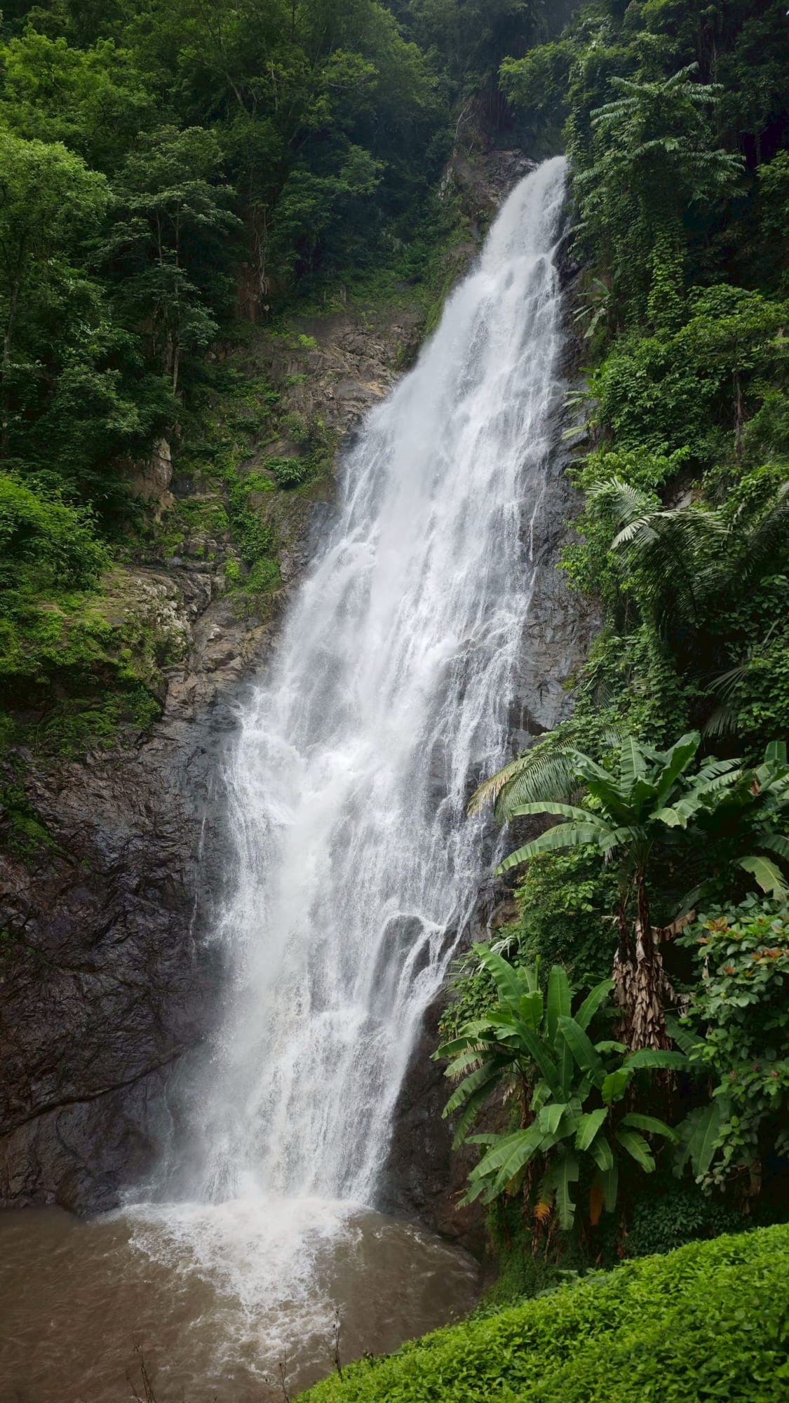 ทริปตะพิโจ-บือบอลู่ 2 วัน 1 คืน | ป่าฉ่ำ Lush Forest
