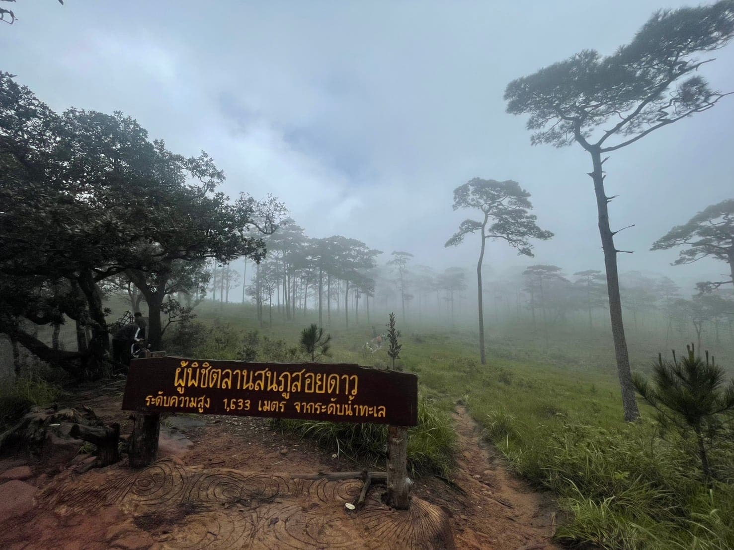 ทริปภูสอยดาว (ลานสน) 2 วัน 1 คืน