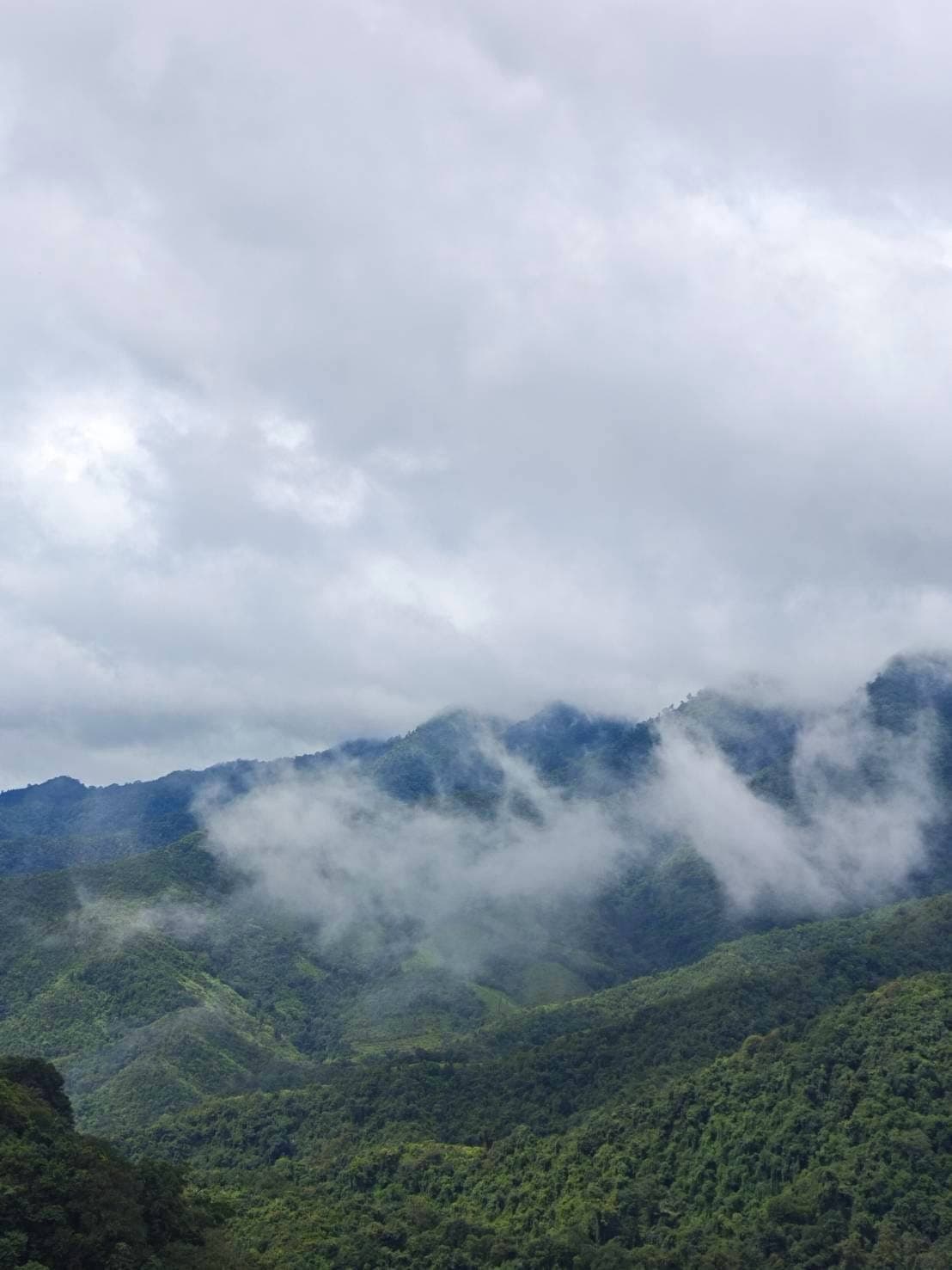 ทริปน้ำตกห้วยน้ำเย็น 2 วัน 1 คืน | Siamese Explorers แมวไทยท่องโลกเดินป่าโรยตัว