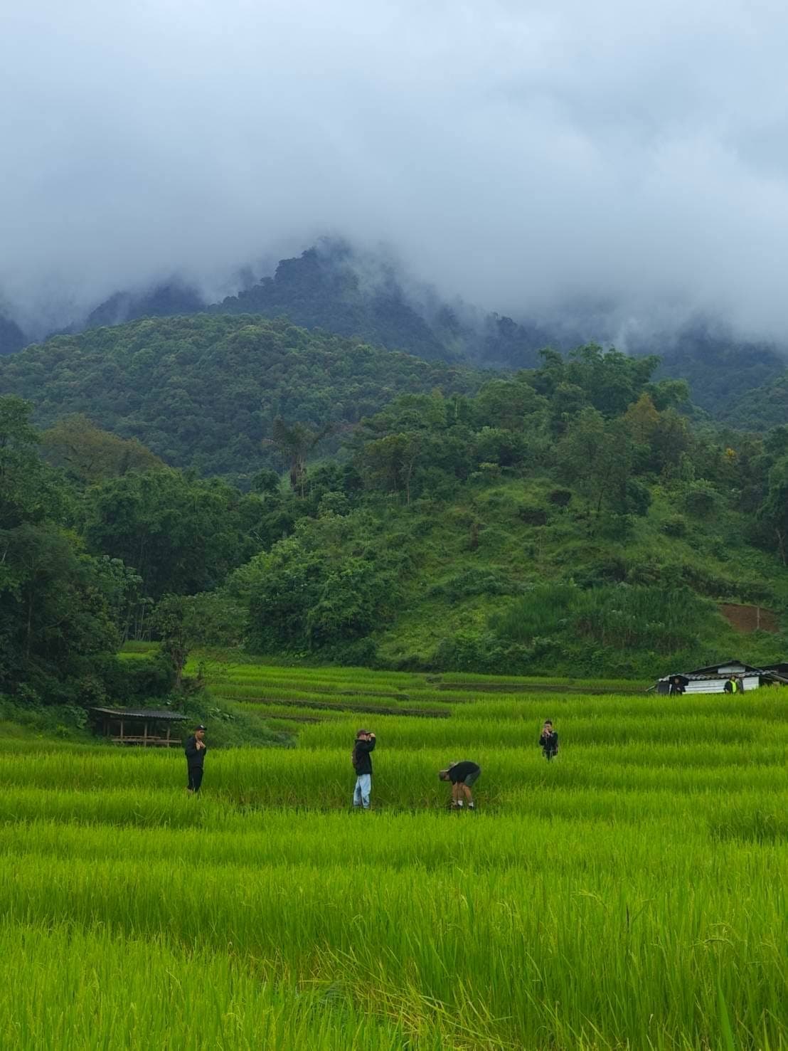 ทริปน้ำตกห้วยน้ำเย็น 2 วัน 1 คืน | Siamese Explorers แมวไทยท่องโลกเดินป่าโรยตัว