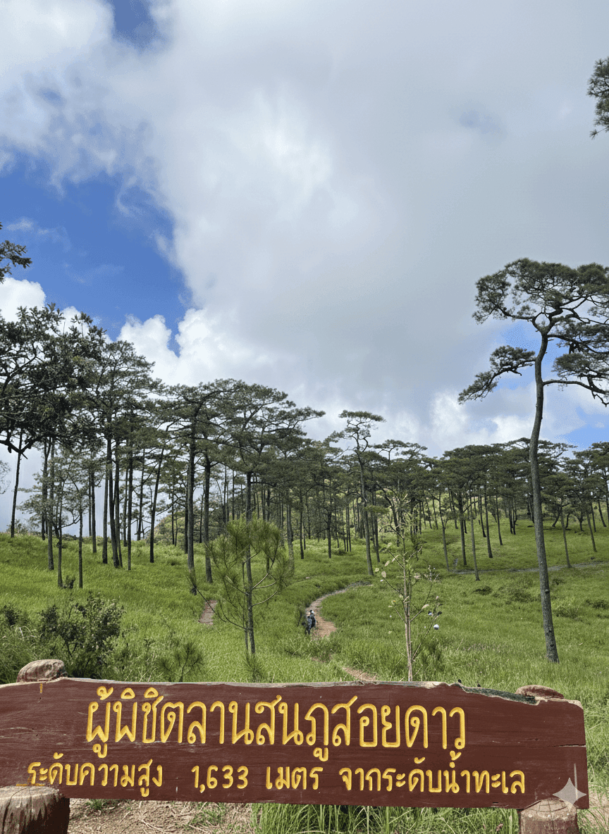 ภูสอยดาว (ลานสน) - รูปที่ 3