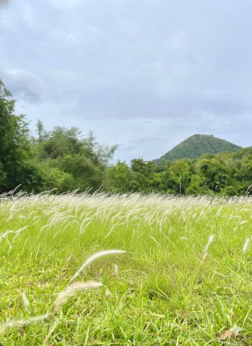 โป่งลึก-บางกลอย - รูปที่ 2